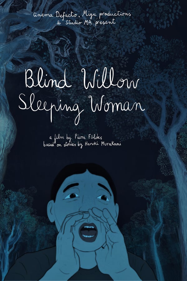 Cover of the movie Blind Willow, Sleeping Woman