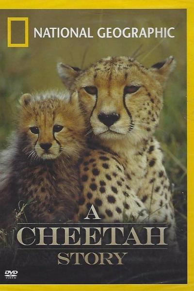 Cover of Cheetah Story