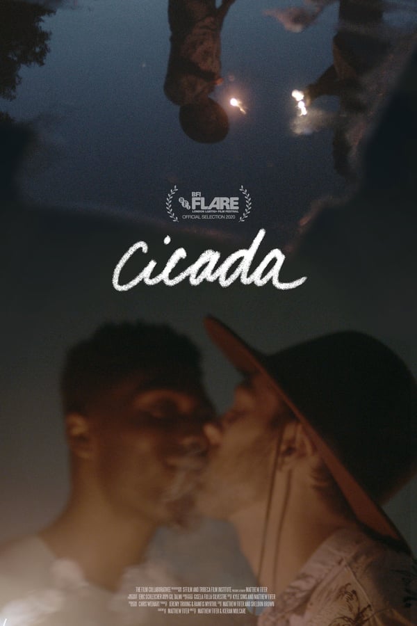 Cover of the movie Cicada