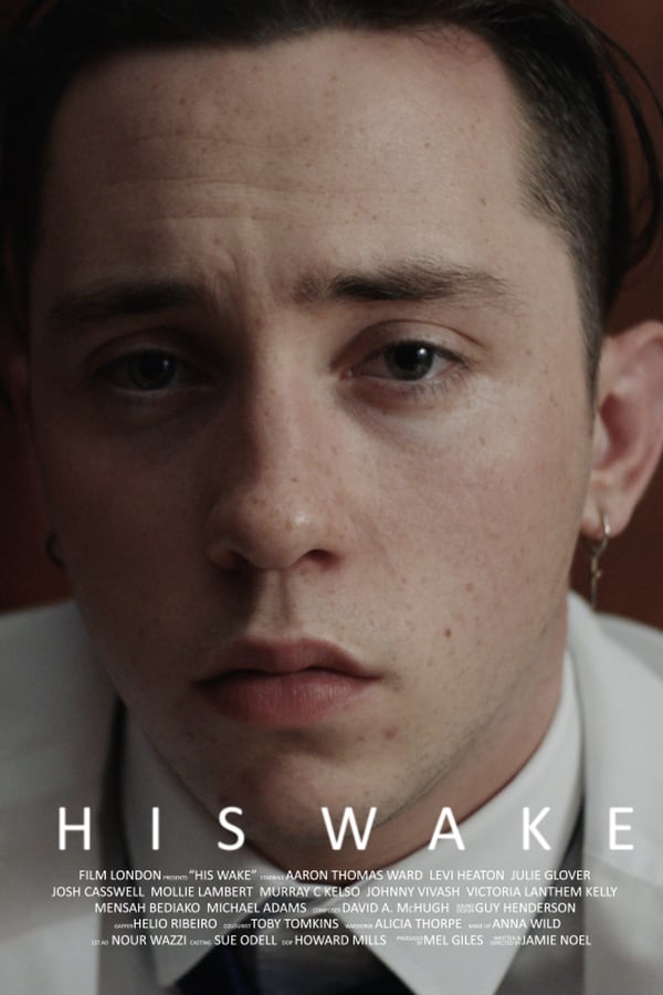 Cover of the movie His Wake