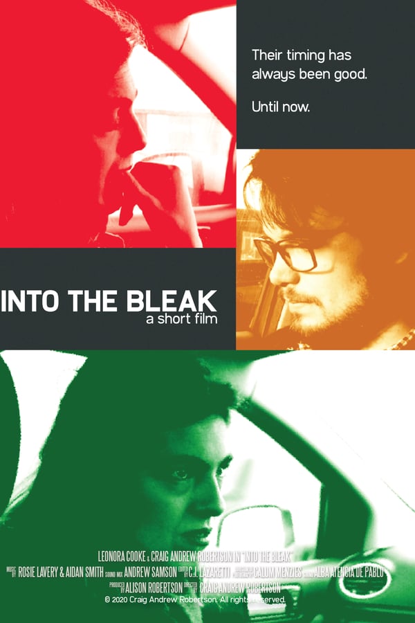 Cover of the movie Into the Bleak