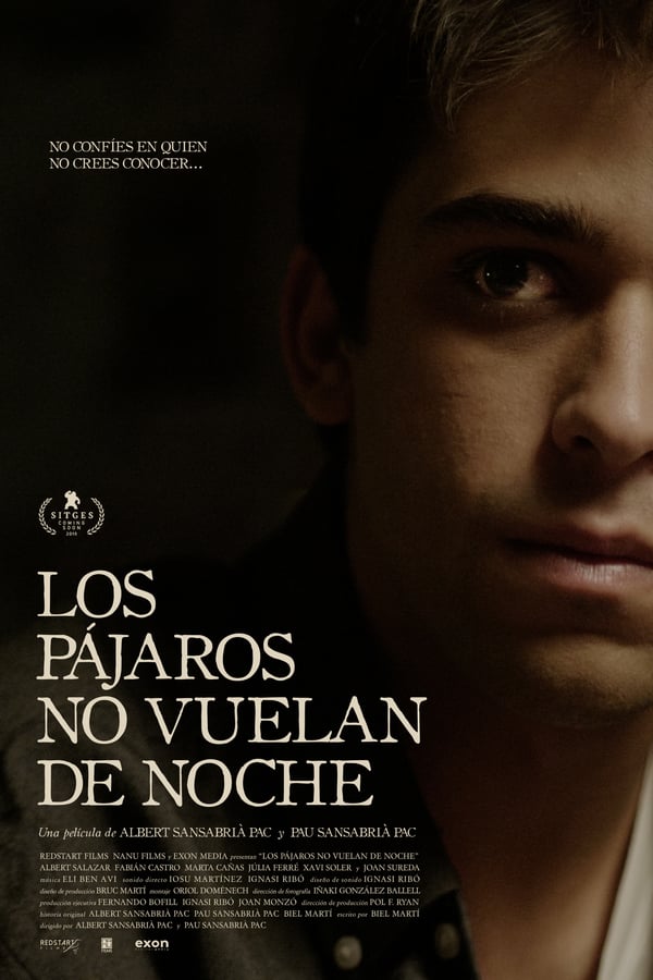 Cover of the movie Los pájaros no vuelan de noche