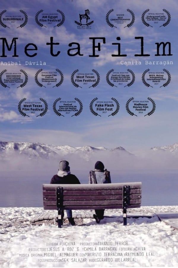 Cover of the movie MetaFilm