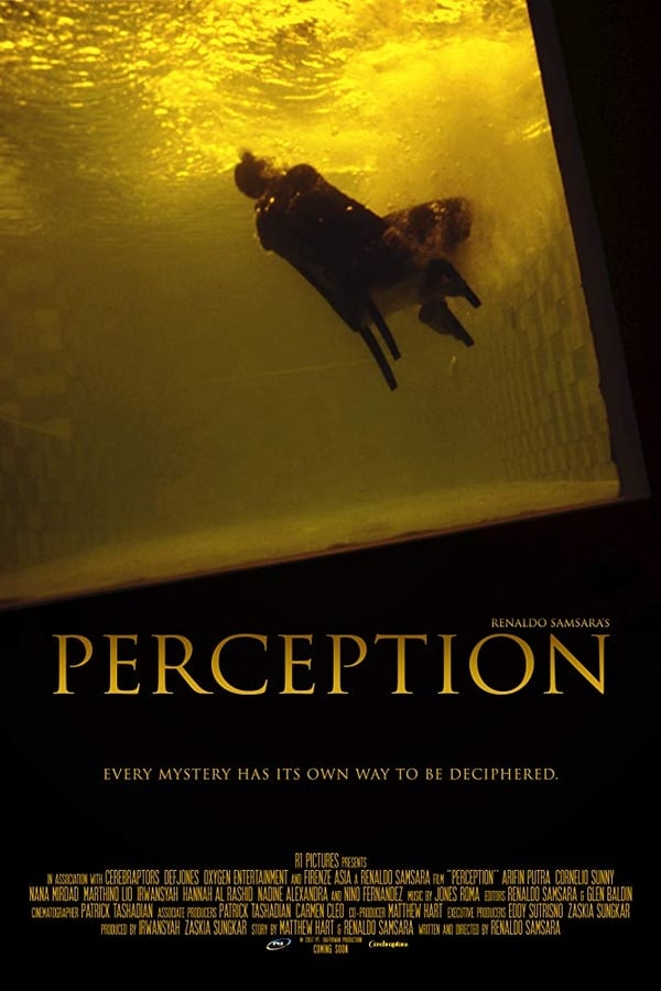 Cover of the movie Perception