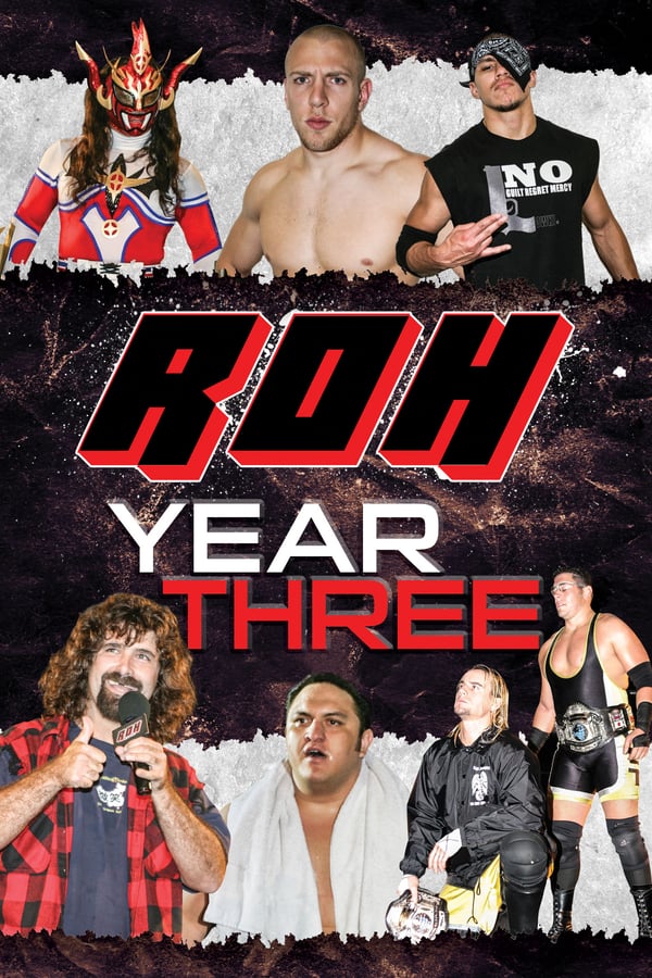 Cover of the movie Ring of Honor: Year Three