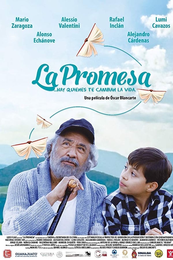 Cover of the movie The Promise