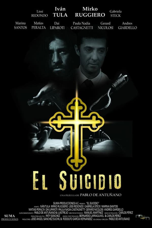 Cover of the movie The Suicide