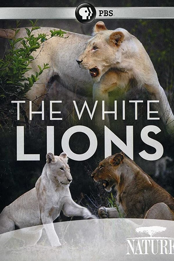 Cover of the movie The White Lions