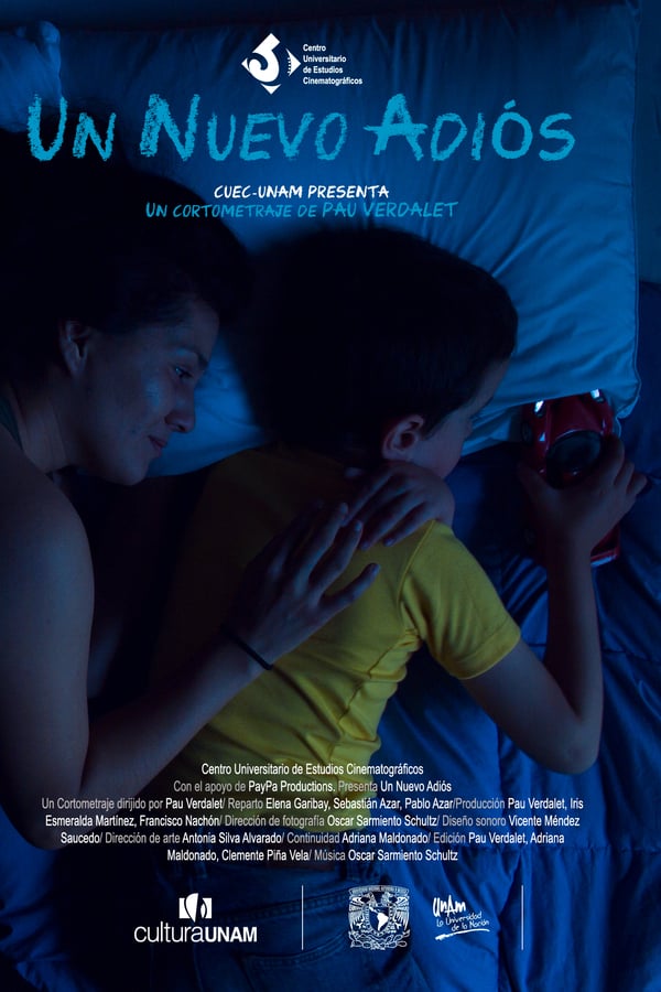 Cover of the movie Un Nuevo Adiós