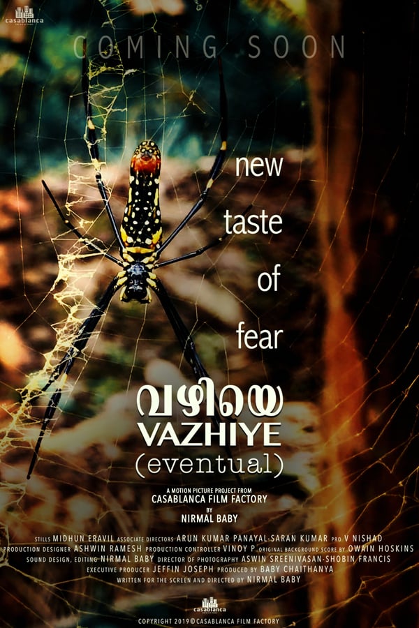 Cover of the movie Vazhiye