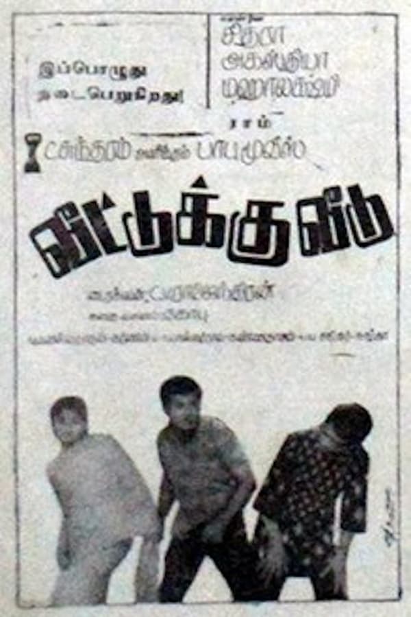 Cover of the movie Veettuku Veedu