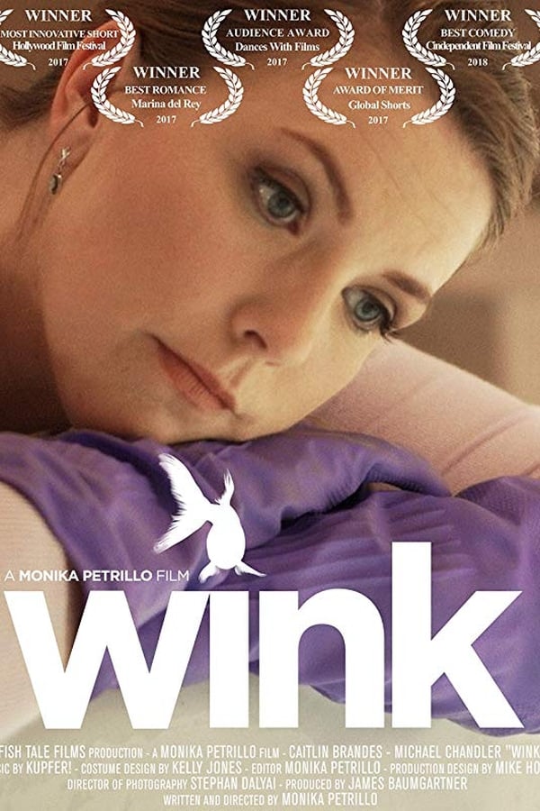 Cover of the movie Wink