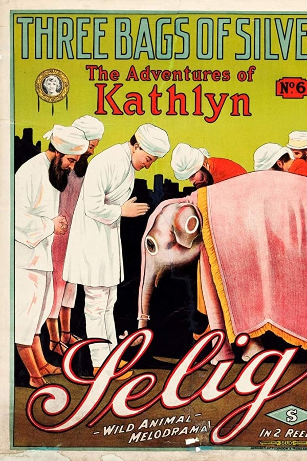 Cover of the movie The Adventures of Kathlyn