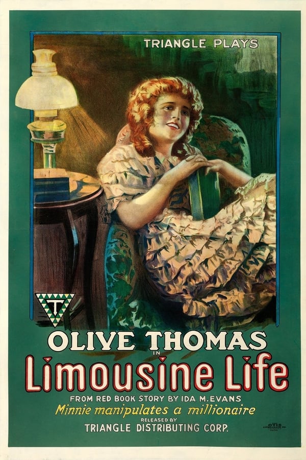 Cover of the movie Limousine Life