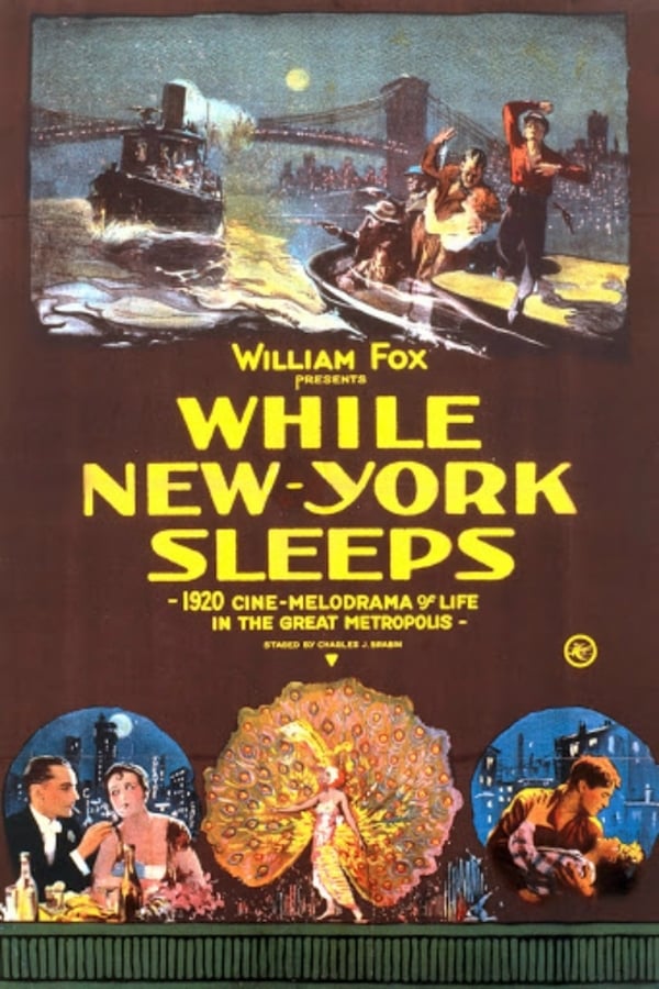 Cover of the movie While New York Sleeps