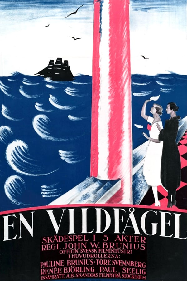Cover of the movie En vildfågel