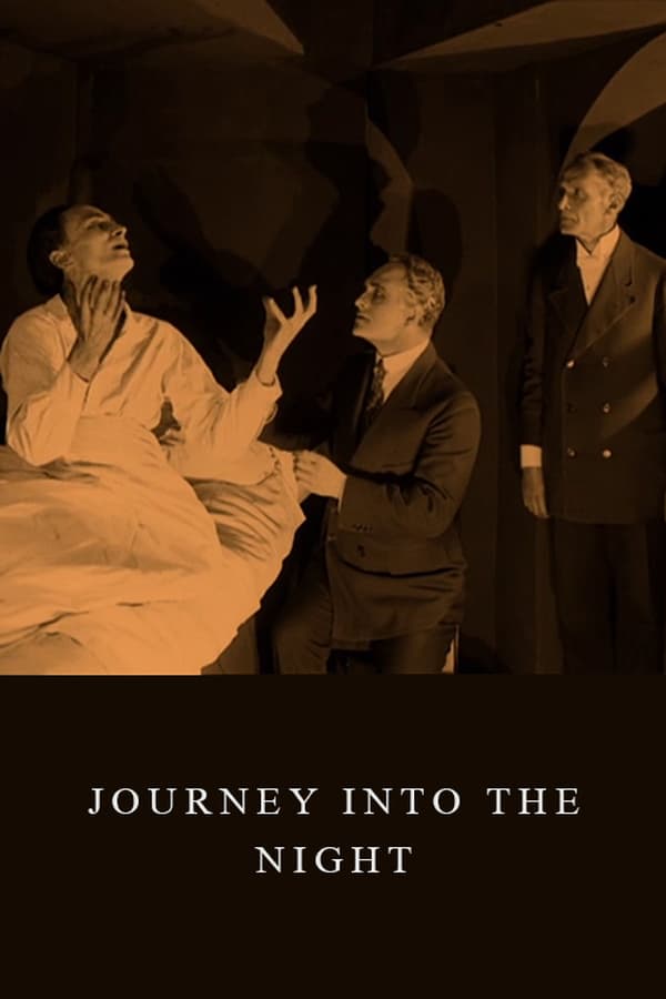 Cover of the movie Journey Into the Night