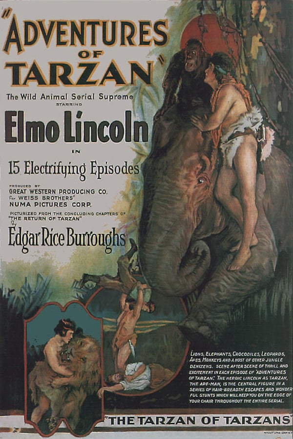 Cover of the movie The Adventures of Tarzan