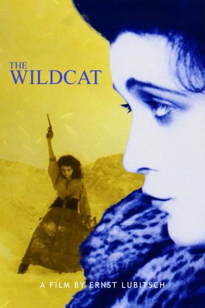 Cover of the movie The Wildcat