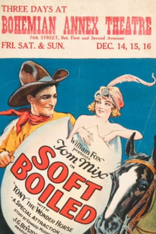 Cover of the movie Soft Boiled