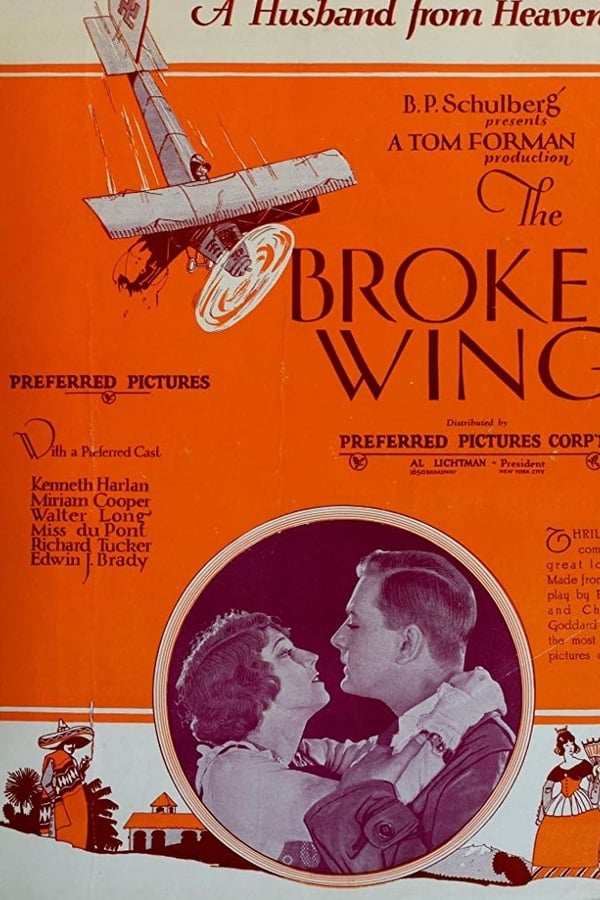 Cover of the movie The Broken Wing