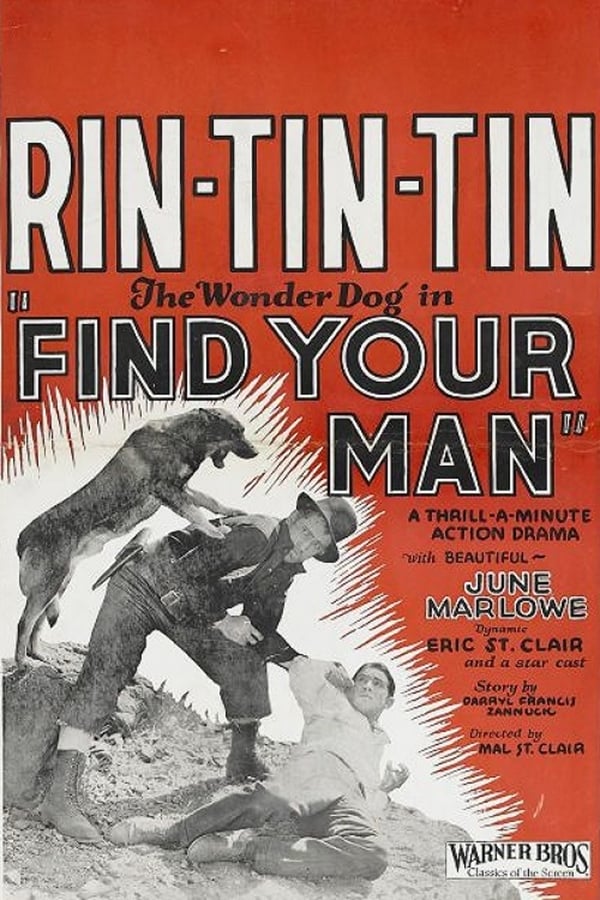 Cover of the movie Find Your Man