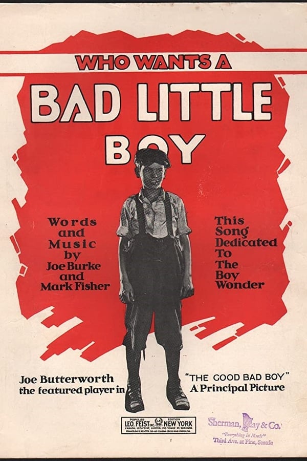 Cover of the movie The Good Bad boy