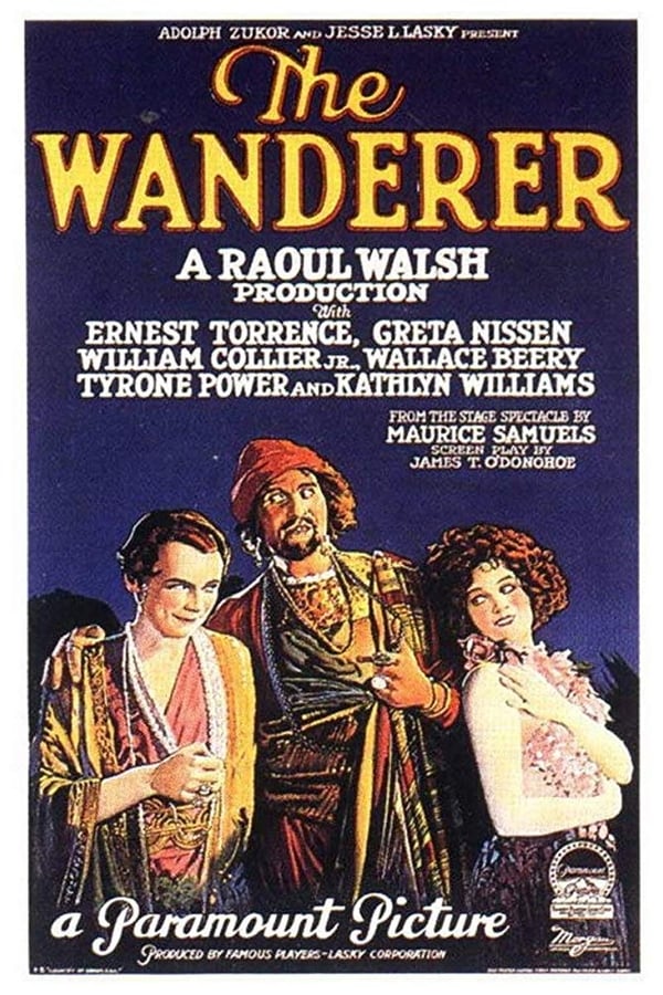 Cover of the movie The Wanderer