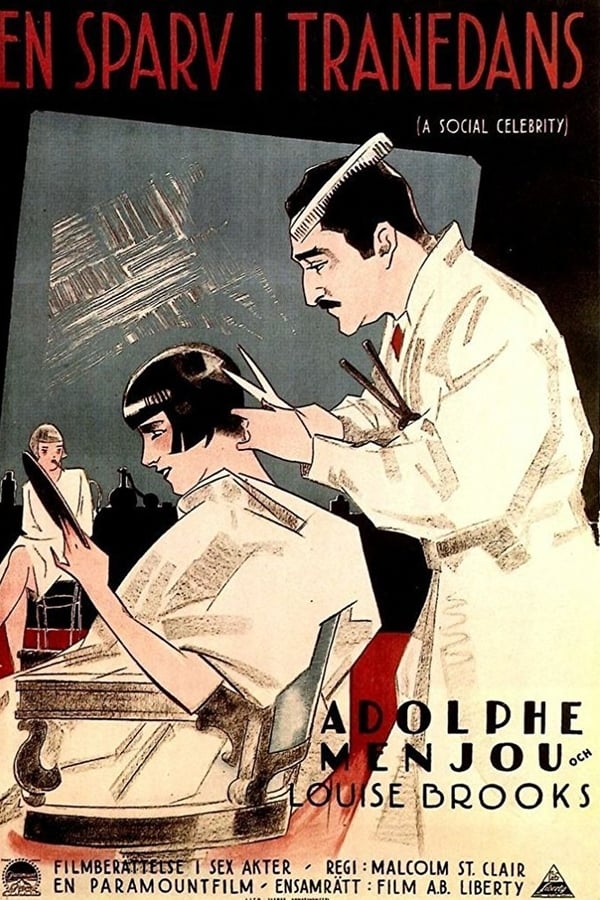 Cover of the movie A Social Celebrity