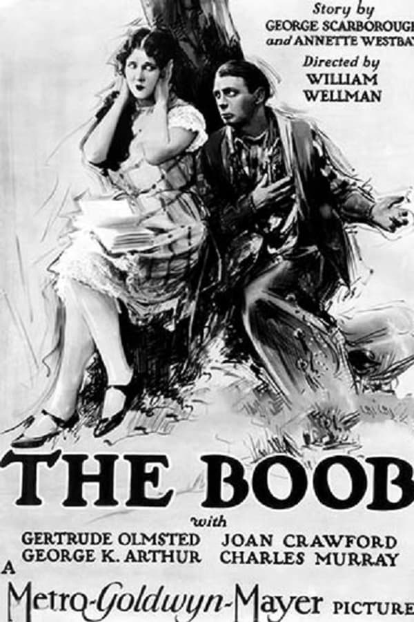Cover of the movie The Boob