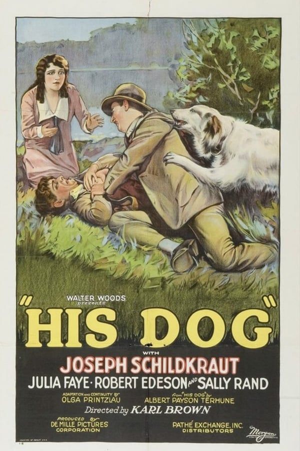 Cover of the movie His Dog