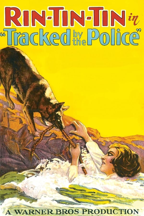Cover of the movie Tracked by the Police