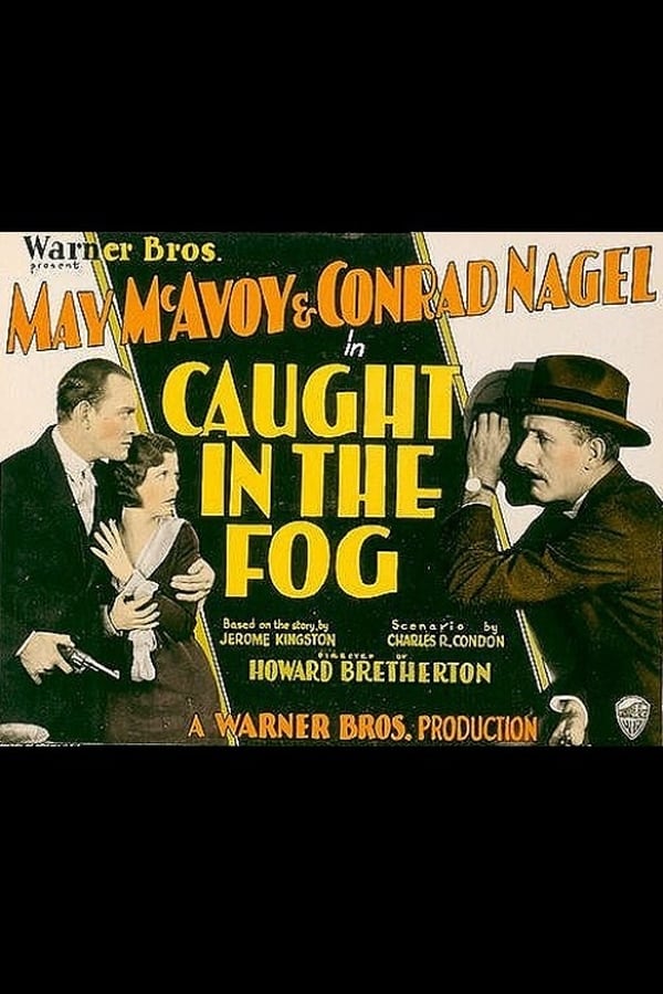 Cover of the movie Caught in the Fog