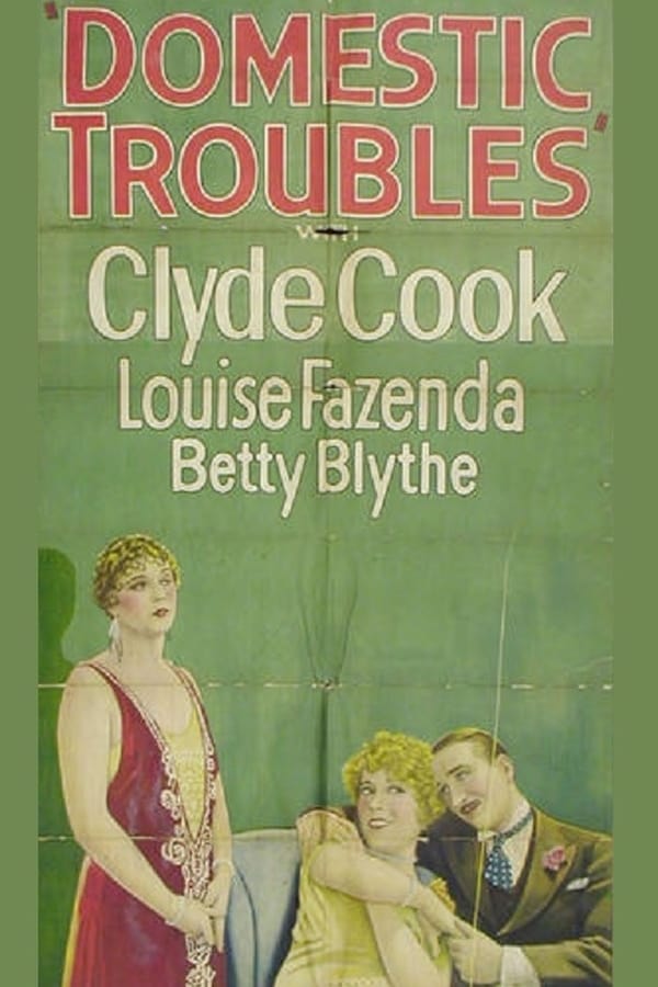 Cover of the movie Domestic Troubles