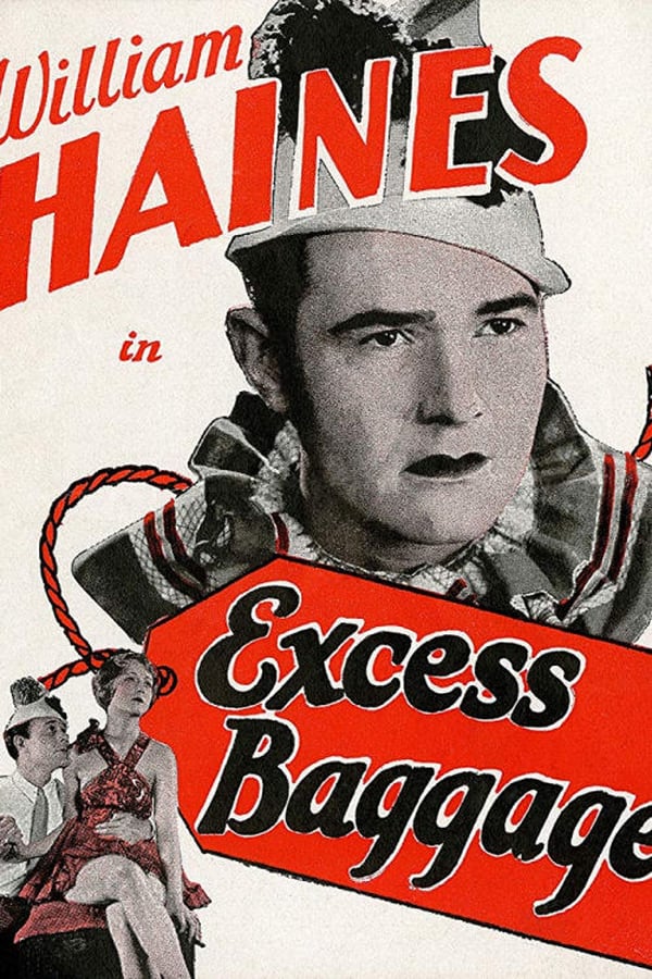 Cover of the movie Excess Baggage