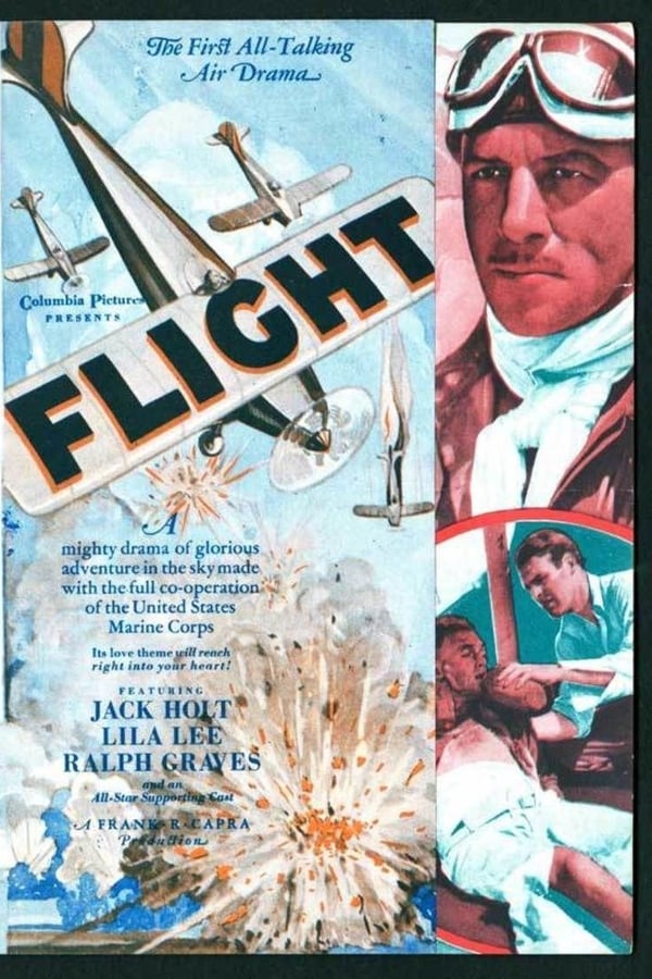 Cover of the movie Flight