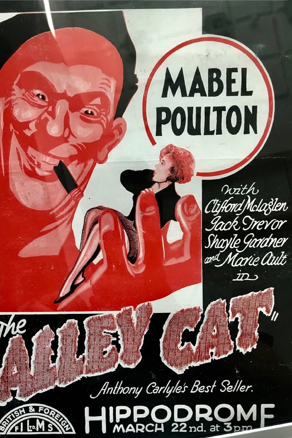 Cover of the movie The Alley Cat