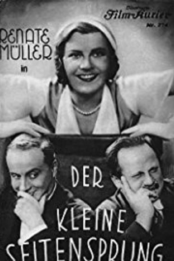 Cover of the movie Der kleine Seitensprung