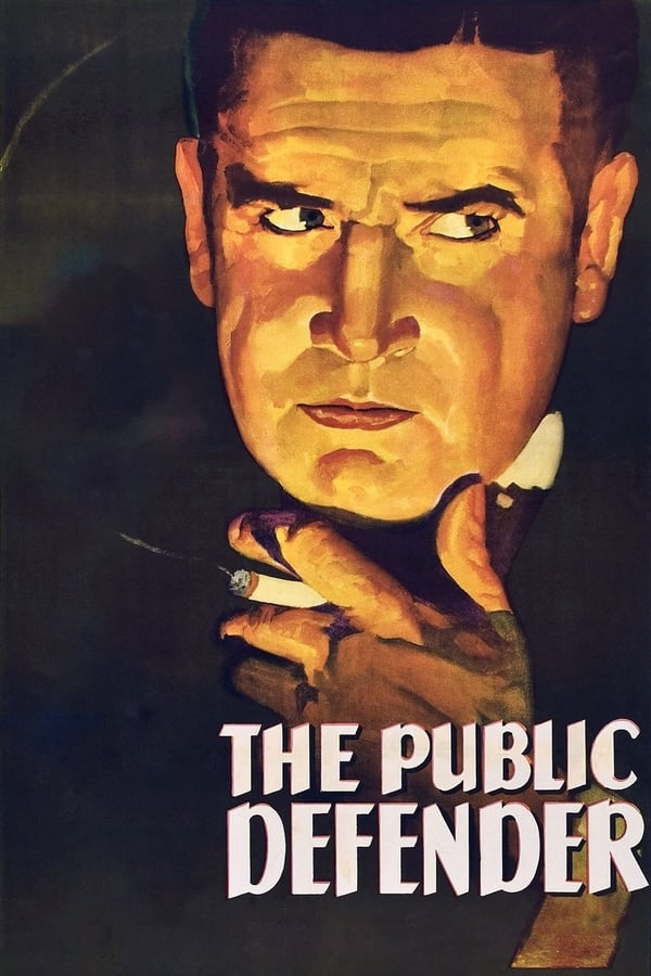 Cover of the movie The Public Defender