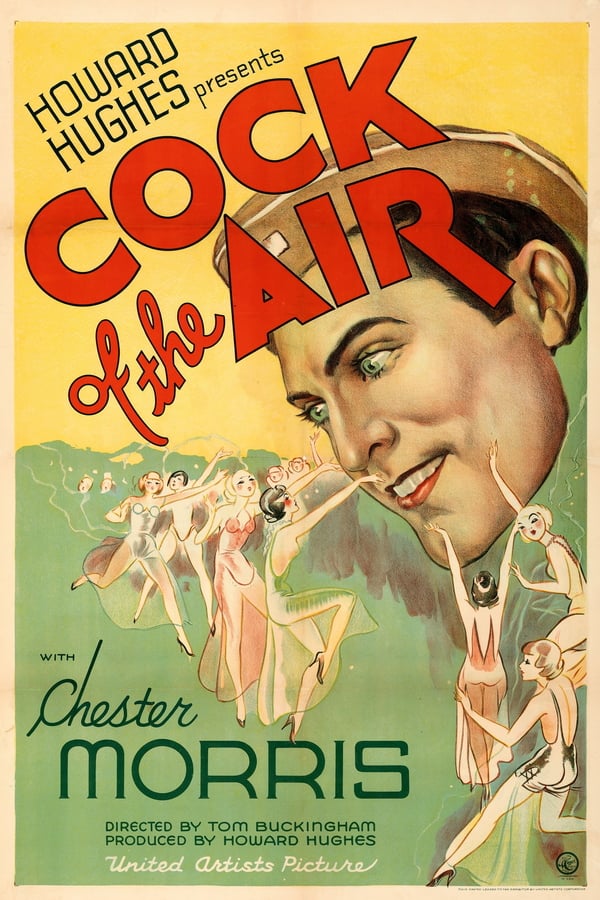 Cover of the movie Cock of the Air