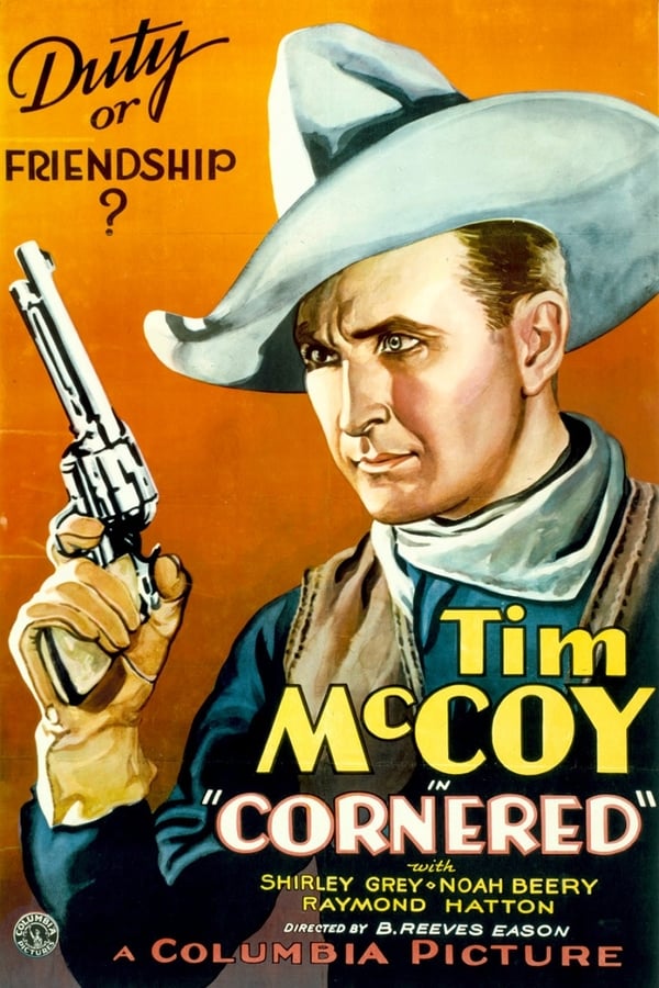 Cover of the movie Cornered