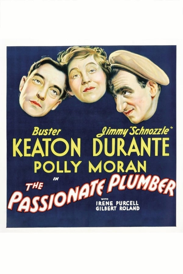 Cover of the movie The Passionate Plumber