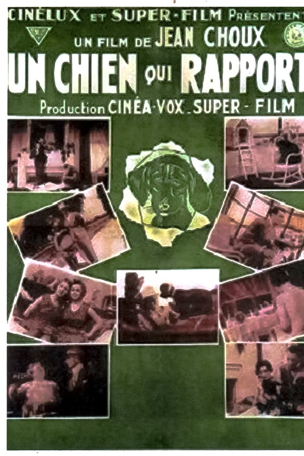 Cover of the movie Un Chien qui rapporte