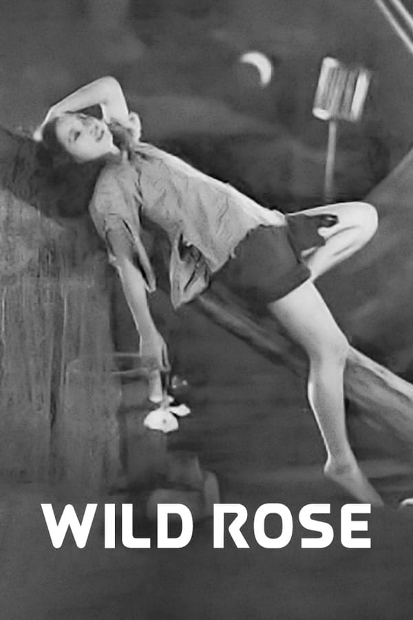 Cover of the movie Wild Rose