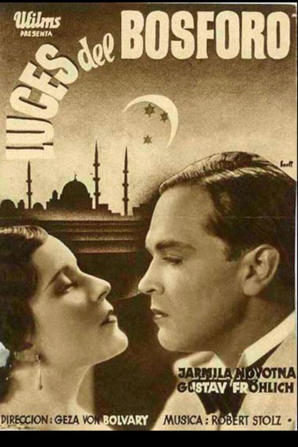 Cover of the movie The Night of the Great Love