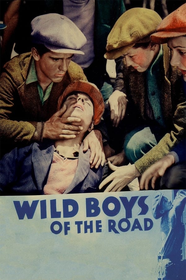 Cover of the movie Wild Boys of the Road