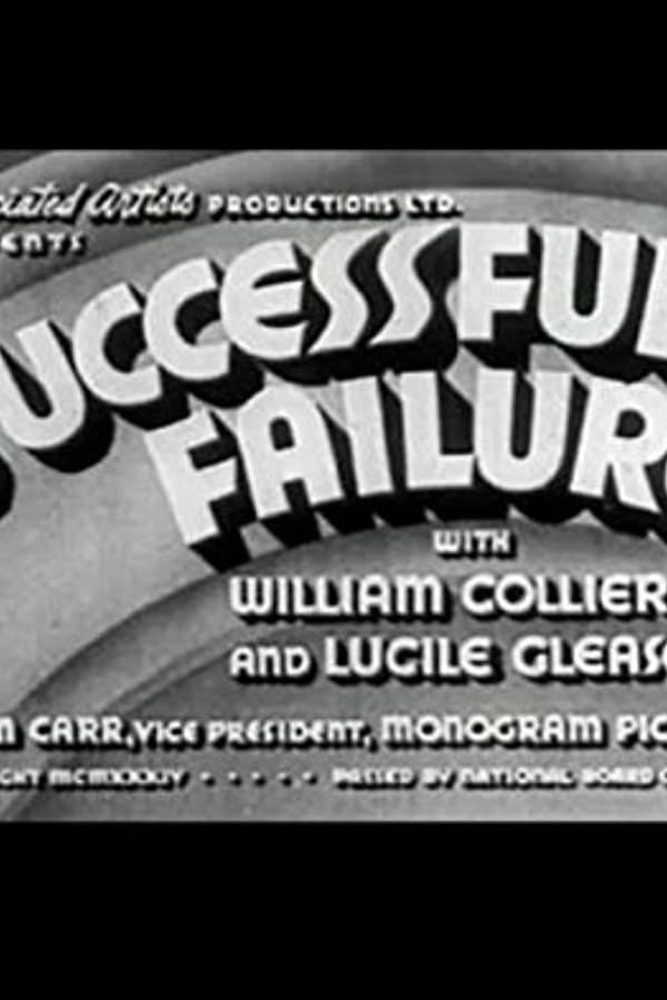 Cover of the movie A Successful Failure