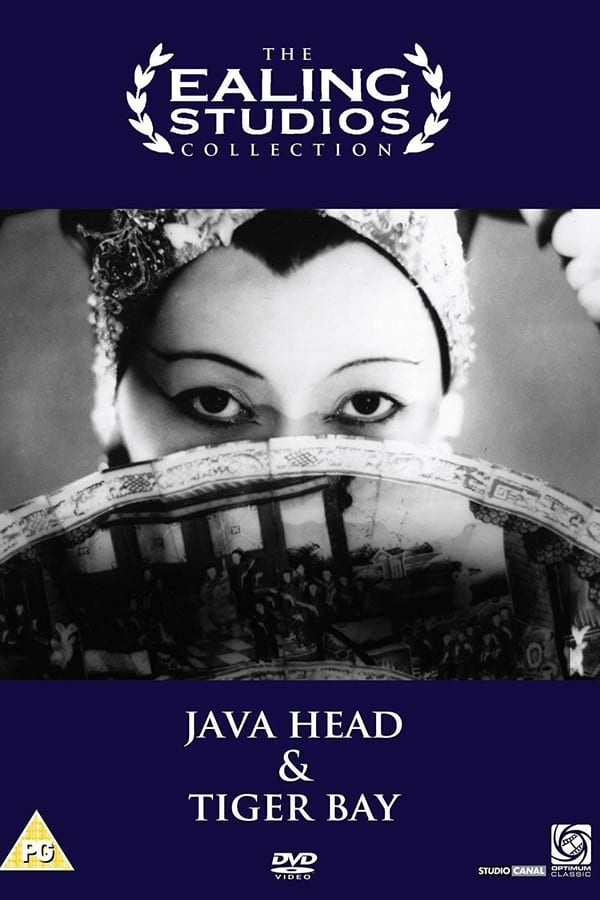Cover of the movie Java Head