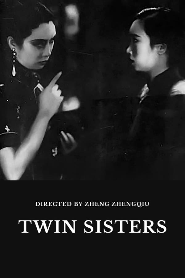 Cover of the movie Twin Sisters