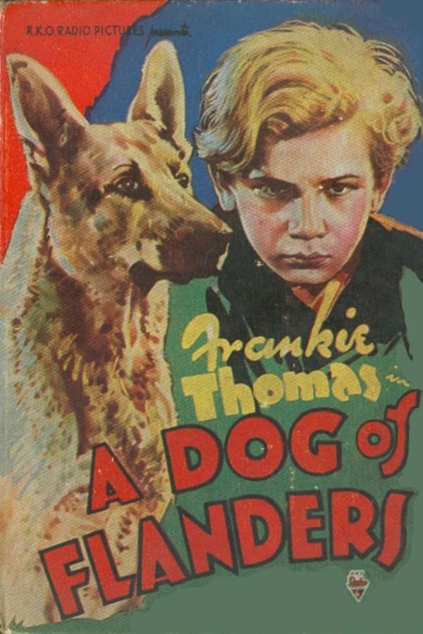 Cover of the movie A Dog of Flanders